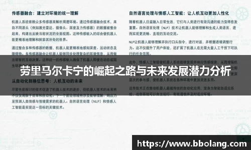 劳里马尔卡宁的崛起之路与未来发展潜力分析